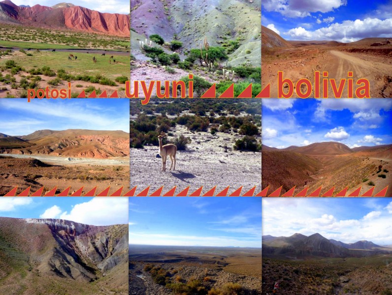 2009-12-31-bolivia-Post Travel Uyuni