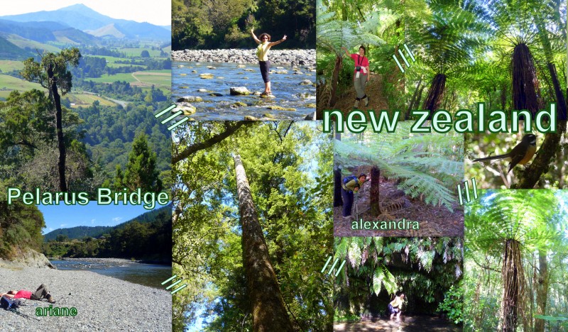 19-03-2010-NZ-pelarus bridge