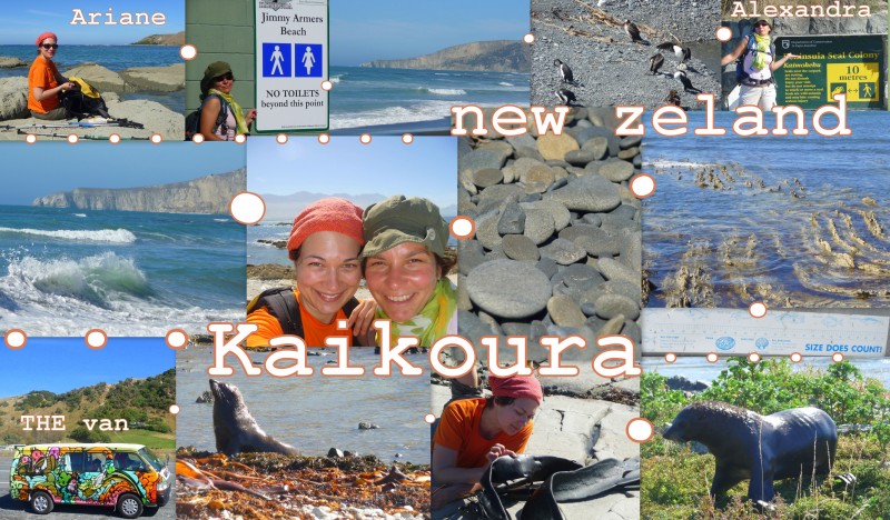 2010-03-16-NZ-kaikoura-1