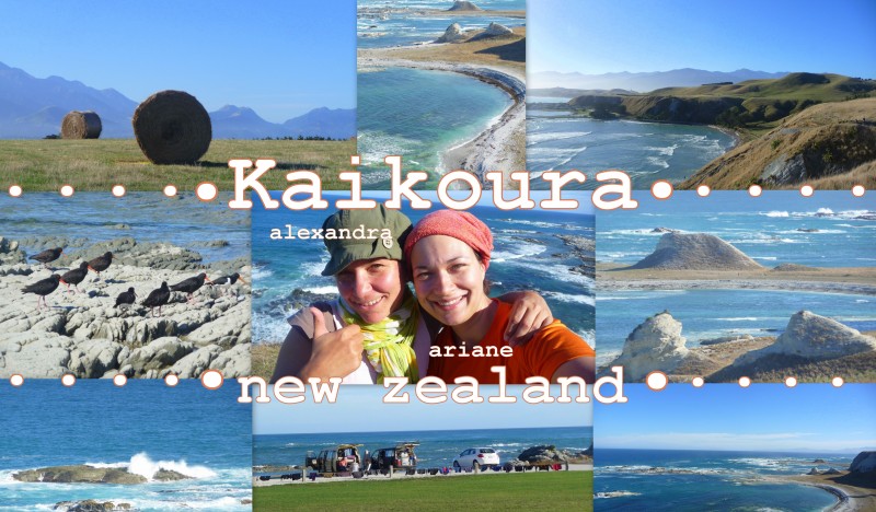 2010-03-16-NZ-kaikoura2