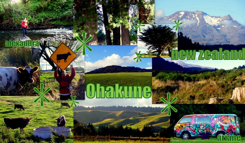 2010-03-23-NZ-OHAKUNE