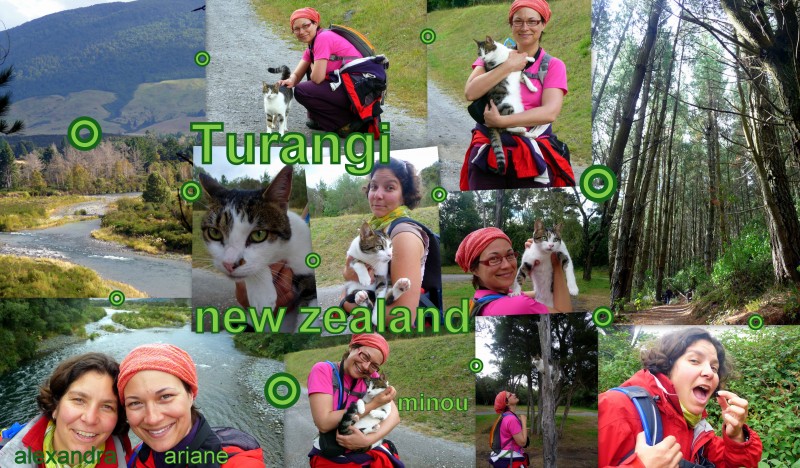 2010-03-24-NZ-TURANGI