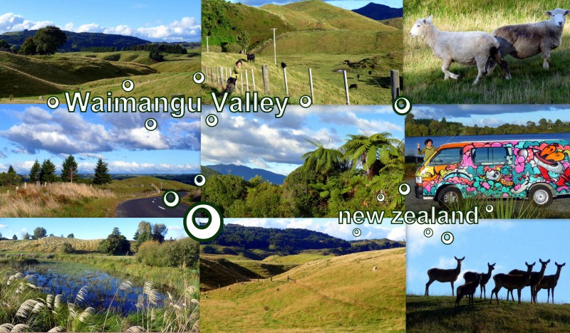 2010-03-25-NZ-WAIMANGU VALLEY