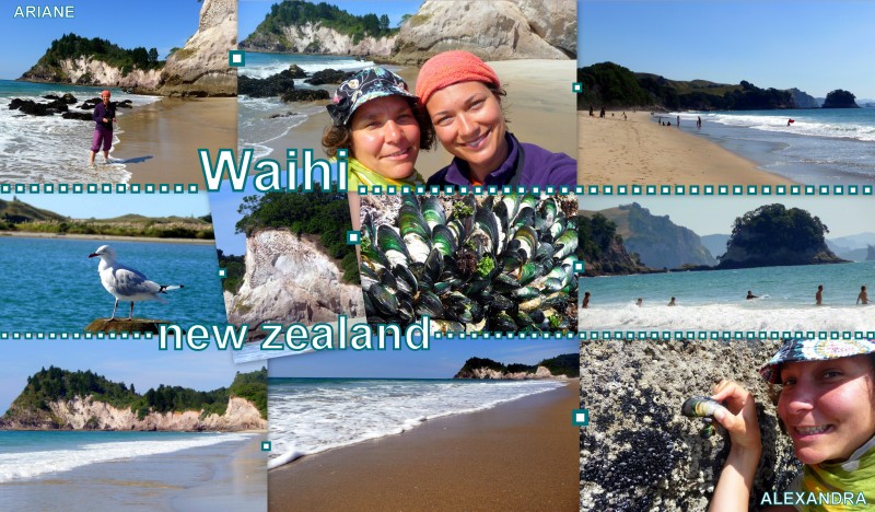 2010-03-28-NZ-waihi